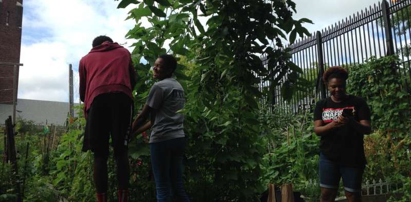 At a New York City garden, students grow their community roots and critical consciousness