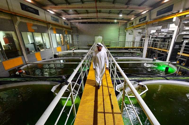 At Fish Farm, says Bader bin Mubarak (pictured), they came up with &quot;the idea of dark water that resembles deep water, a str