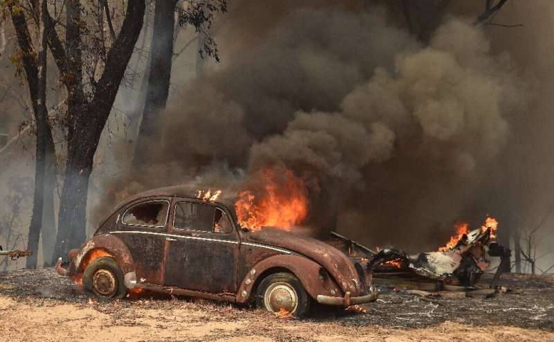 At least three million hectares (7.4 million acres) of land has been torched across Australia in recent months