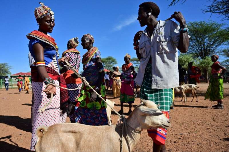 A traditional Samburu man haggles for a goat with a woman from the same community at Merille livestock market
