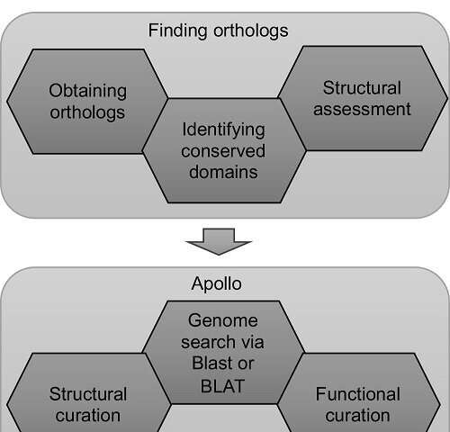 A universal framework combining genome annotation and undergraduate education