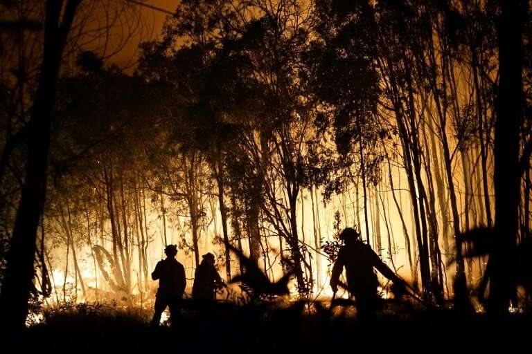 Australia has been hit by wildfires in recent months, which scientists say have been made worse by climate change
