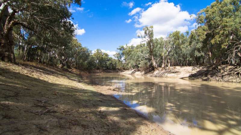 Australian government must declare a water emergency, says expert