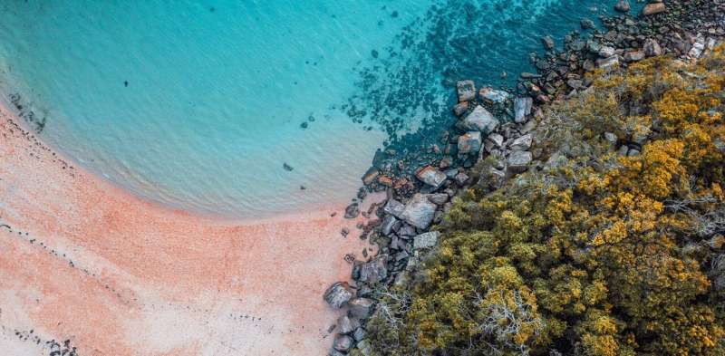 Australia's pristine beaches have a poo problem