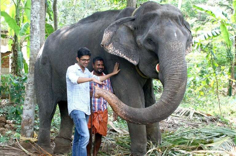 Awarded the title of &quot;Gaja Muthassi&quot; (elephant granny), Dakshayani took part in temple rituals and processions for dec