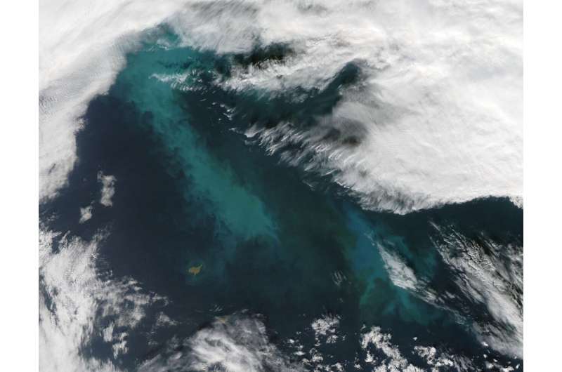 Bacteria feeding on Arctic algae blooms can seed clouds