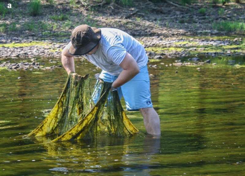 Bad Blooms: Researchers review environmental conditions leading to harmful algae blooms