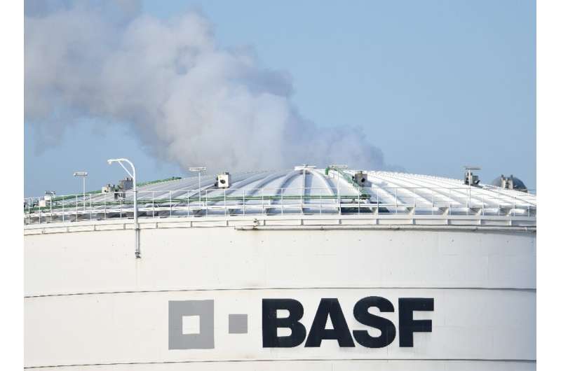 BASF said it wanted pigments to be a core business for the new owners