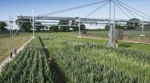 Big data harvesting tool will deliver smart farming