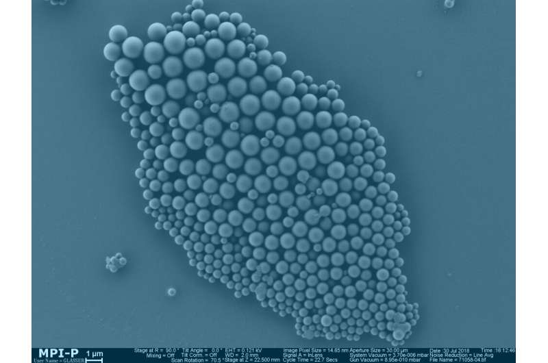 Biobased nanocarriers to cure plant diseases for the first time
