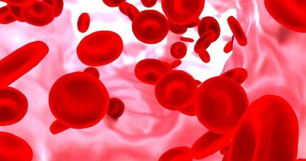 Biochemical compound responsible for blood pressure drop in sepsis is discovered