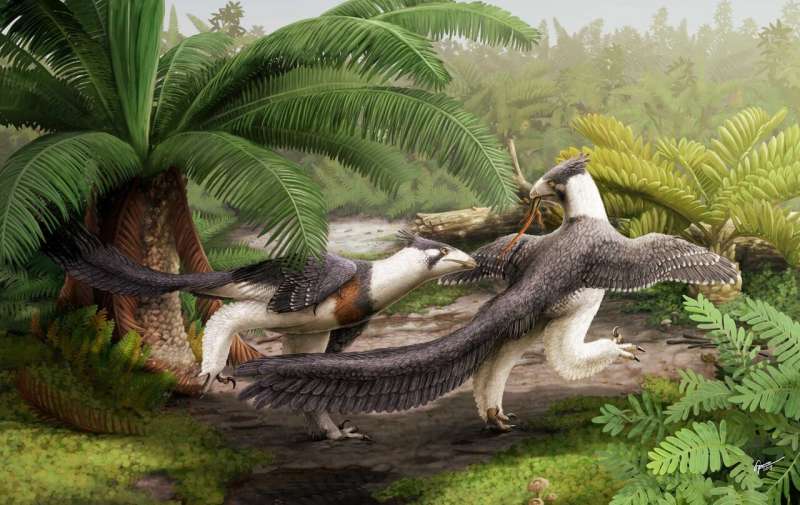 Bird-like dinosaur is oldest unearthed in North America