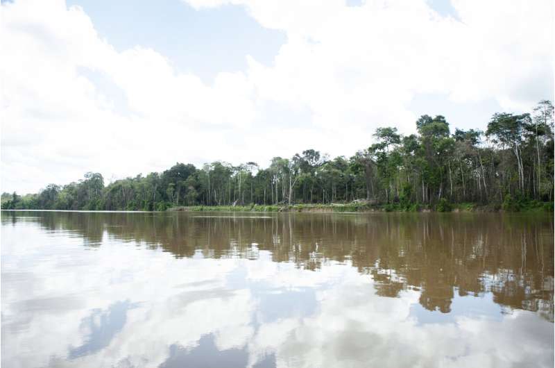 Black carbon found in the Amazon River reveals recent forest burnings