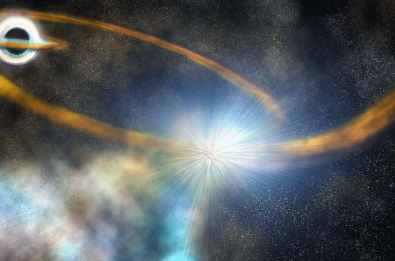Black hole shreds star, UH astronomer on discovery team