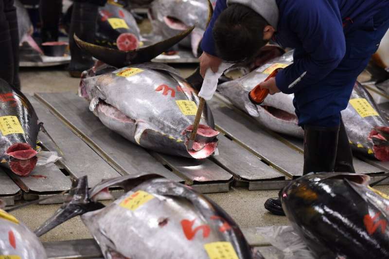 Bluefin tuna is usually found in the western and eastern Atlantic Ocean and the Mediterranean Sea