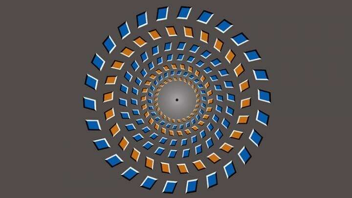 Brain represents optical illusion as delayed reality