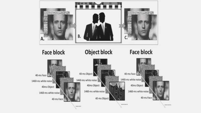 Brain scans on movie watchers reveal how we judge people