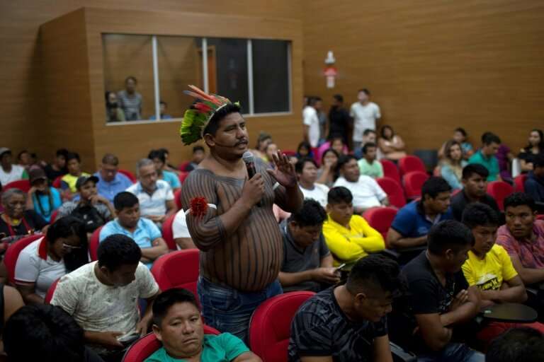 Brazilian indigenous leaders have met with government ministers asking for more security on their lands to stem illegal logging
