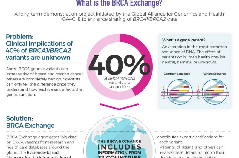 BRCA Exchange aggregates data on thousands of BRCA variants to understand cancer risk