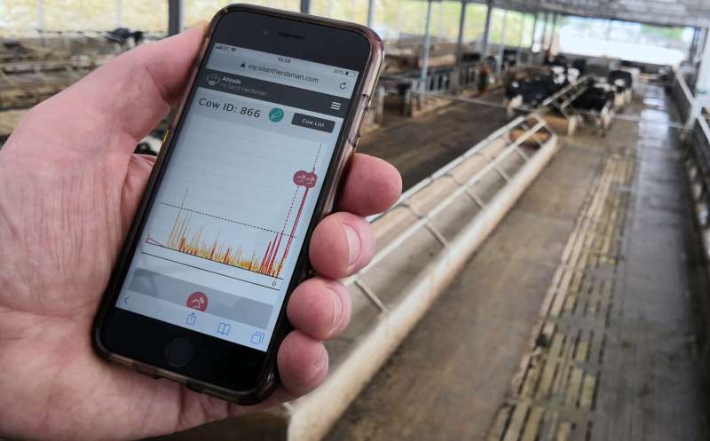 British farm moo-ves into new tech with 5G collars on cows