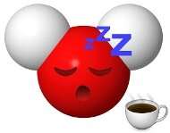 Caffeine slows down the movement of water molecules