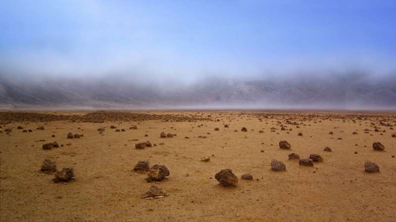 Can Earth life survive on Mars?