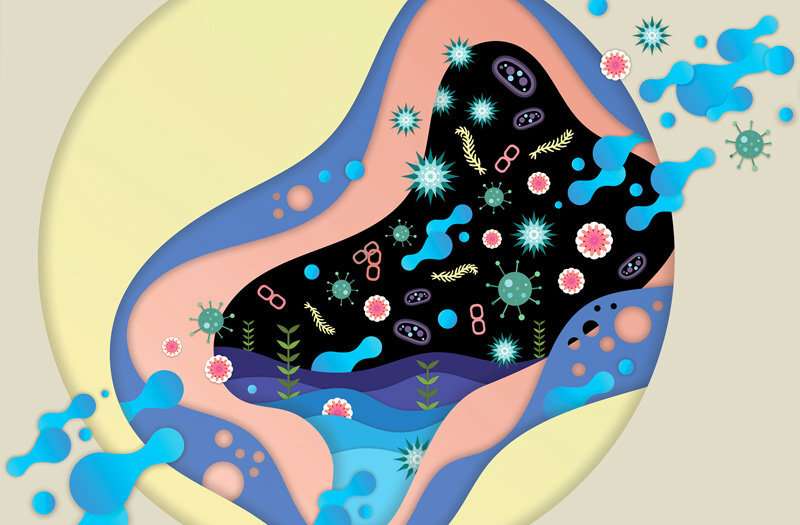 Can tinkering with gut microbes really improve our health?