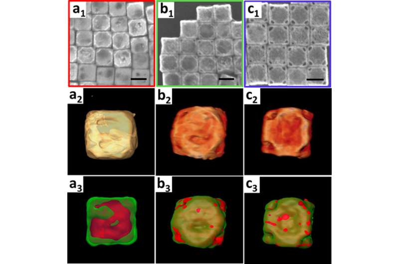 Carrying and Releasing Nanoscale Cargo with "Nanowrappers"