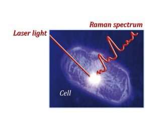 Cell chemistry illuminated by laser light