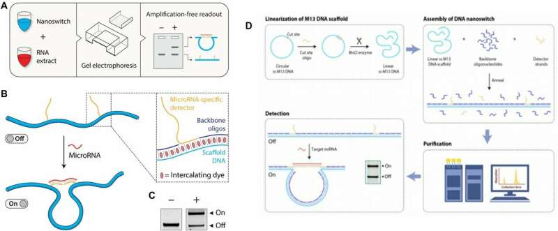 **Cellular microRNA detection with miRacles: