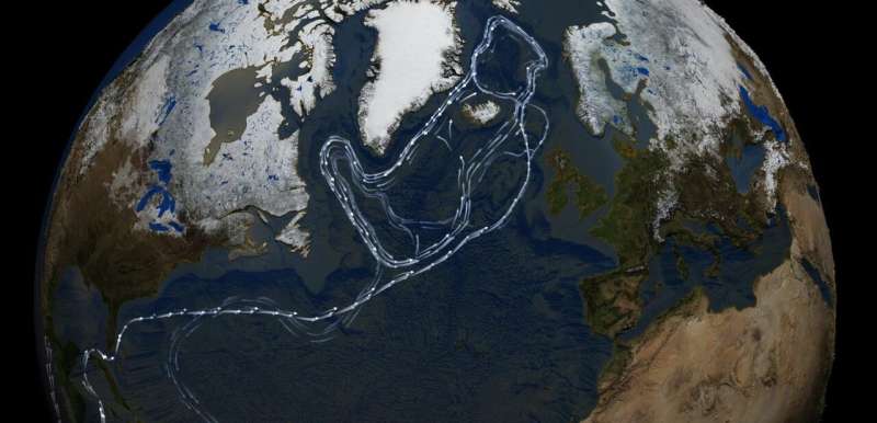 Century-scale deep-water circulation dynamics in the North Atlantic Ocean