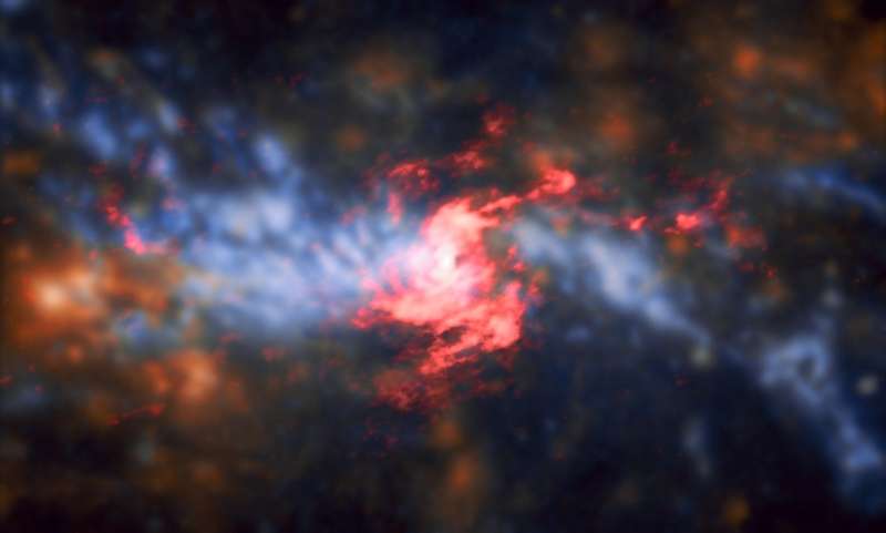 Chandra detection of a circumnuclear torus
