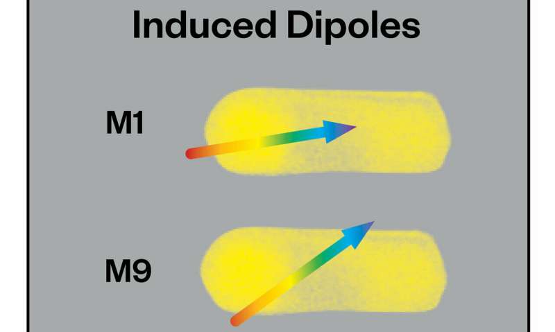 Chemicals induce dipoles to damp plasmons