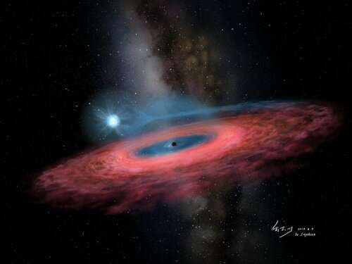 Chinese Academy of Sciences leads discovery of unpredicted stellar black hole