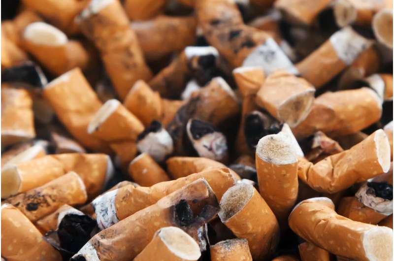 Plastic pollution from cigarette butts likely costs US  billion/year