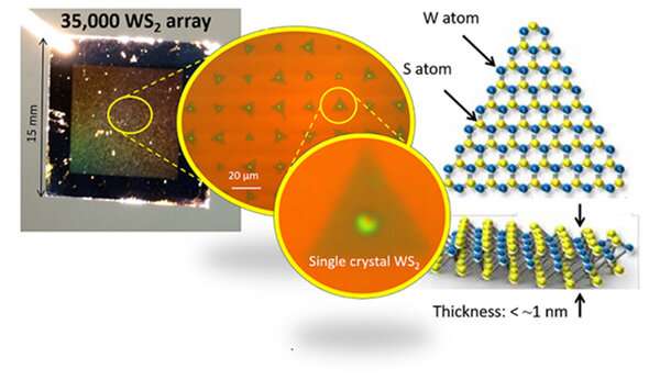 Clarification of a new synthesis mechanism of semiconductor atomic sheets