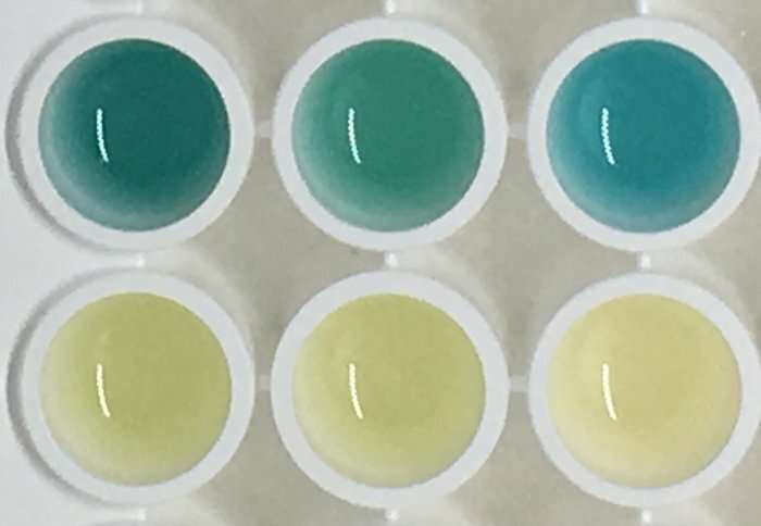 Colour-change urine test for cancer shows potential in mouse study