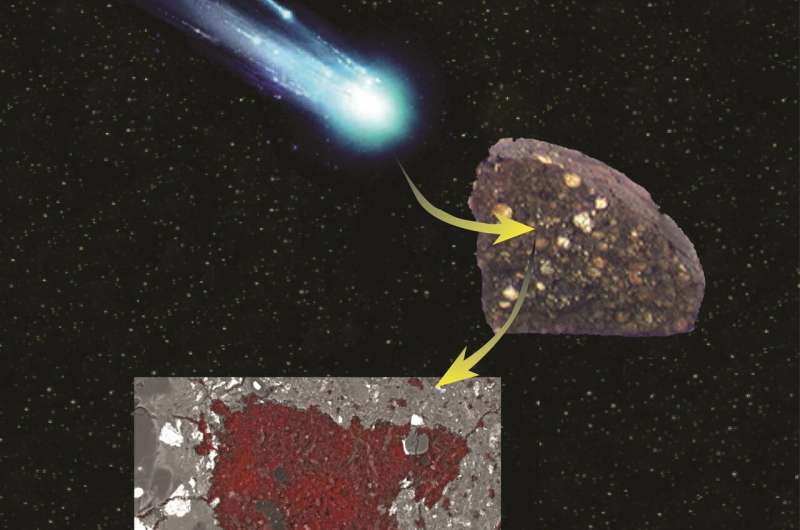 Cometary surprise found inside meteorite