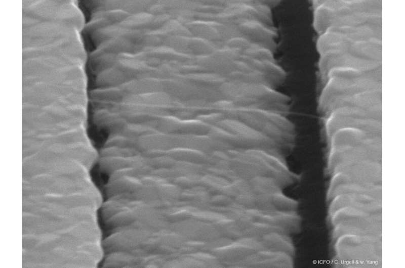 Cooling nanotube resonators with electrons