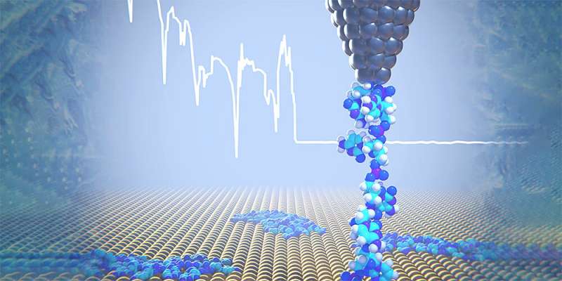 Cryo-force spectroscopy reveals the mechanical properties of DNA components