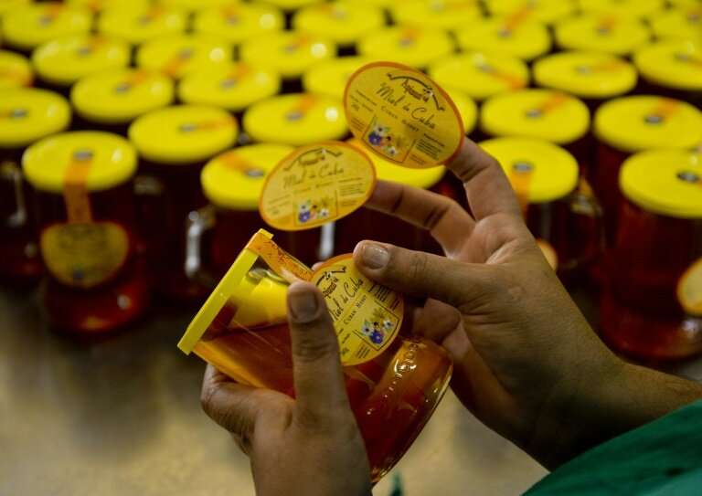 Cuba has found a ready market in Europe for its high quality, organic honey