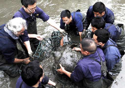 Death of rare turtle leaves 3 remaining in the world