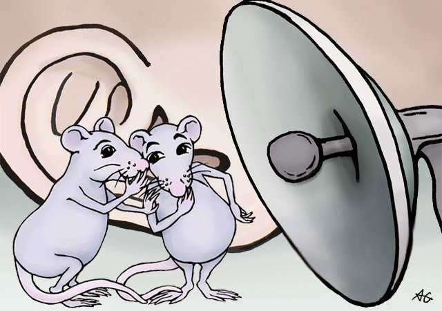 'DeepSqueak' helps researchers decode rodent chatter