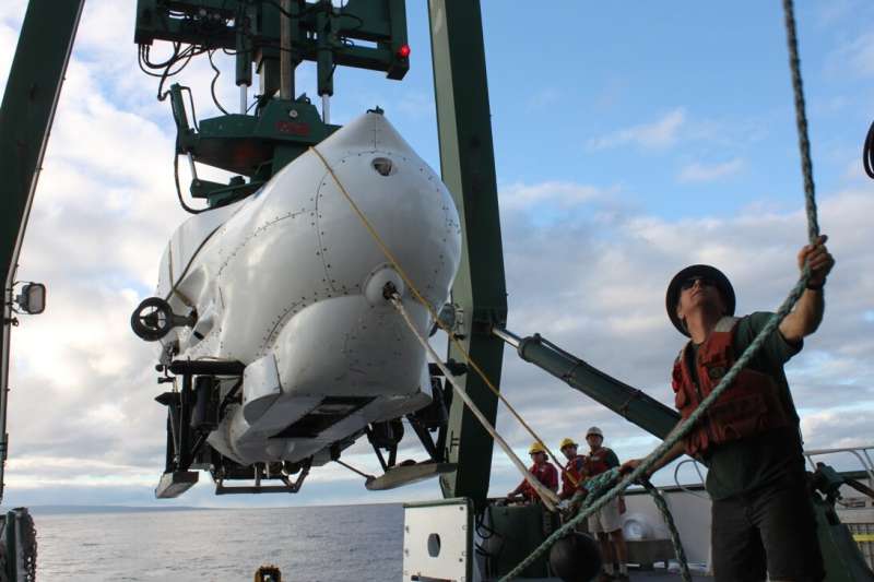 Deep submersible dives shed light on rarely explored coral reefs