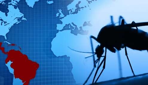 Dengue virus immunity may protect children from Zika symptoms