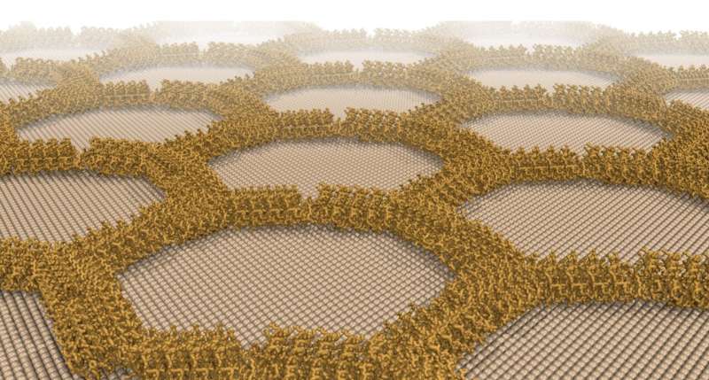 Designer proteins form wires and lattices on mineral surface
