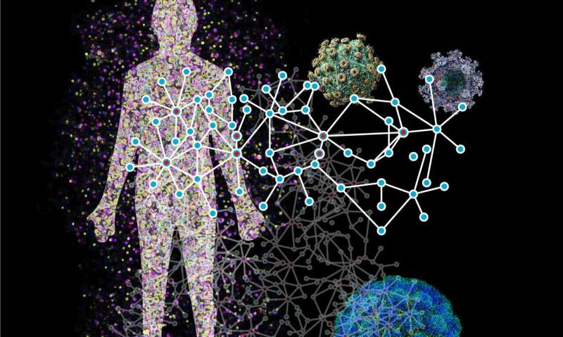 Detailed map shows how viruses infect humans