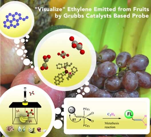 Detecting ethylene, the fruit ripening hormone