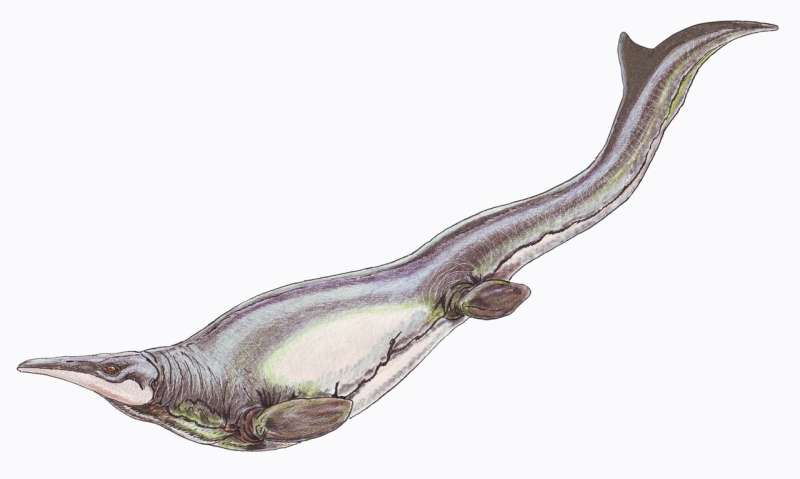 Did Mosasaurs Do The Breast Stroke?