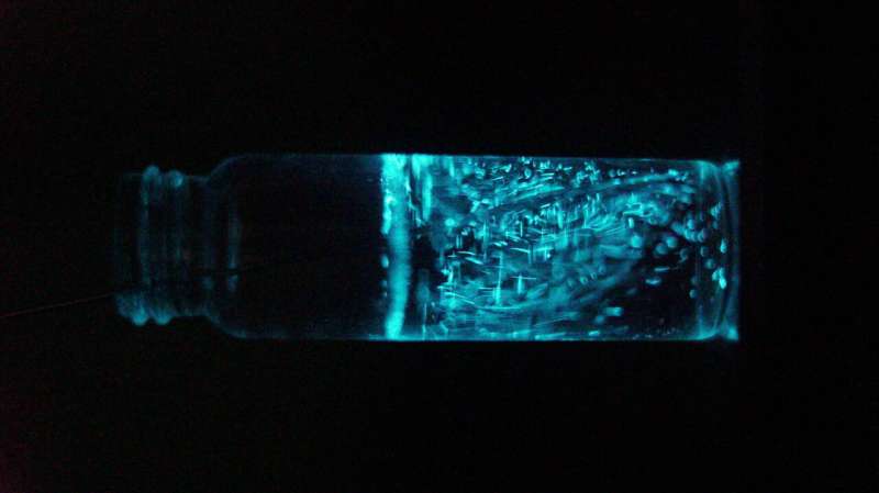 Dinoflagellate plankton glow so that their predators won't eat them